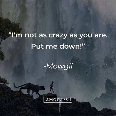 the jungle book the mowgli stories author quotes|10 Memorable Quotes in The Jungle Book .